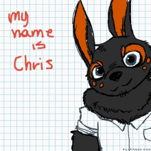 Chris Chris Name GIF - Chris Chris Name My Name GIFs