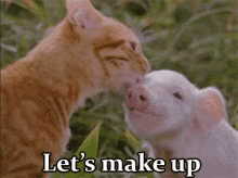 Make Up GIF - Make Up Cat Pig GIFs