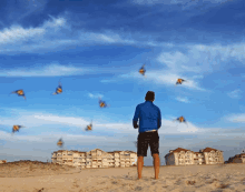 Kites In The Beach GIF - पतंग उड़ाना Kiteflying GIFs