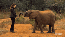 elephant smart animal playing holiday in the wild netflix