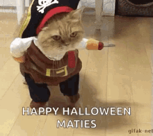Осенние котики Pirate-cat
