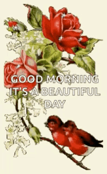 Good Morning Beautiful Day GIF - Good Morning Beautiful Day Sparkles GIFs