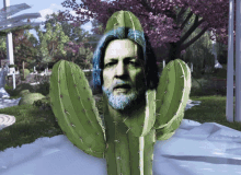 Hanktus Cactus GIF - Hanktus Hank Cactus GIFs