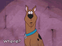 Where GIF - Scooby Doo Where Lost GIFs