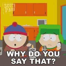 Why Do You Say That Stan Marsh GIF - Why Do You Say That Stan Marsh Kyle Broflovski GIFs
