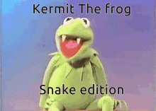 Kermit The Frog Bite GIF - Kermit The Frog Bite Snake Teeth GIFs