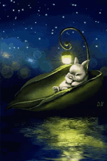sweet dreams goodnight night sky stars rabbit
