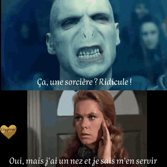 Harry Potter Voldemort GIF Harry Potter Voldemort Sorcière Discover