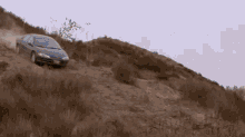 You Should Have Bought A Squirrel Crash GIF - You Should Have Bought A Squirrel Crash Car GIFs