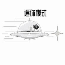 hua chenyu hua chenyu