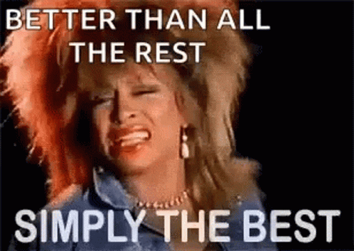 The Best Better Than All The Rest GIF - The Best Better Than All The Rest Simply The Best GIFs