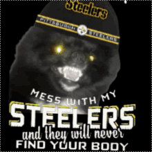 dont mess with my steelers