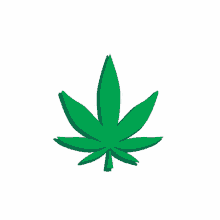 weedmaps 420 smoking weed marijuana
