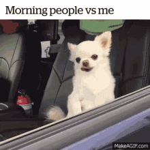 Morning Morning People Vs Me GIF - Morning Morning People Vs Me Dogs GIFs