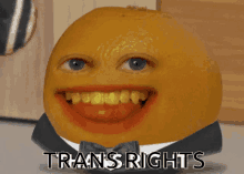 Trans Rights Annoying Orange GIF - Trans Rights Trans Annoying Orange GIFs