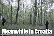 forest croatia meet fun