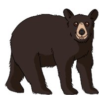 Bear American Black Bear Sticker - Bear American Black Bear Stickers