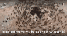 Breakout Rooms GIF - Breakout Rooms Zoom GIFs