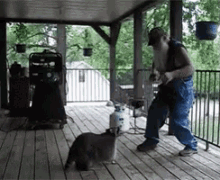 The Redneck Dance Champions Of 2014 Are... GIF - Raccoon Redneck Dancing GIFs