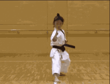 Taekwondo Martial Arts GIF - Taekwondo Martial Arts GIFs