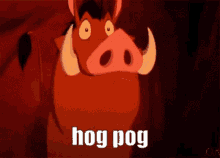 Hogpog GIF - Hogpog GIFs
