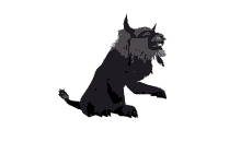 druid cat
