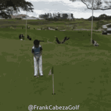 golf cabeza