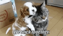 stick together we stick together