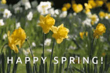 Happy Spring GIFs | Tenor