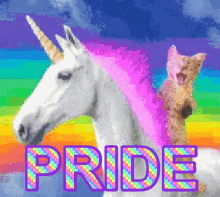 pride unicorn kitten
