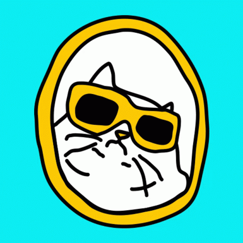 Coole Katze Cool Cat GIF - Coole Katze Cool Cat Cat - Discover & Share GIFs