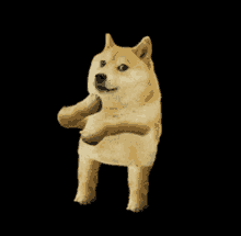 Doge Dancing Coin GIF - Doge Dancing Doge Coin GIFs