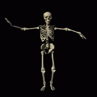 Bones GIF - Bones Dance Dancing - Discover & Share GIFs