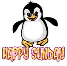 Happy Sunday Penguin GIF - Happy Sunday Penguin Cute GIFs