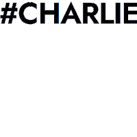 Charlie Staycharlie Sticker - Charlie Staycharlie Charlieaprova Stickers