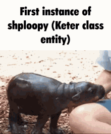 Shploopy Keter GIF - Shploopy Keter Keter Class GIFs