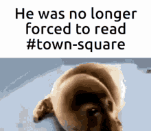 Everneth No Longer Forced To Read Town Square GIF - Everneth No Longer Forced To Read Town Square Happy Seal GIFs
