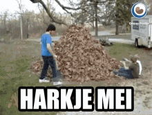 Harkje Mei Swing GIF - Harkje Mei Swing Fryslan GIFs