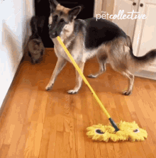Cleaning The Pet Collective GIF - Cleaning The Pet Collective Sweeping GIFs