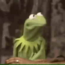 Offended Rude GIF - Offended Rude Kermit The Frog GIFs