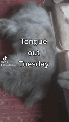 Kratu Tongue Out GIF - Kratu Tongue Out Tongue Sticking Out GIFs