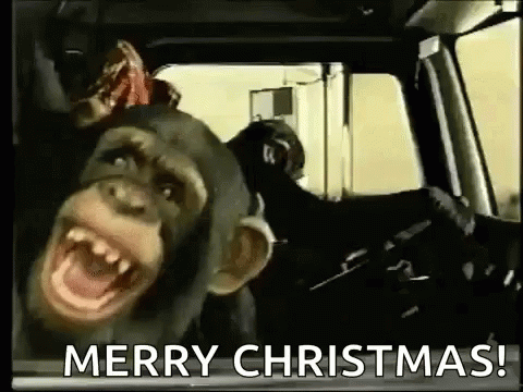 Monkey Merry Christmas GIF - Monkey Merry Christmas - Discover & Share GIFs