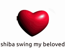 Shiba Swing GIF - Shiba Swing Dog GIFs