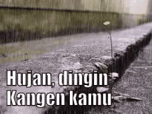 Hujan Kangen Kamu GIF - Hujan Reda Tunggu GIFs