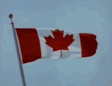 canada day flag country respect wave
