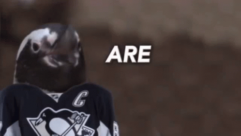 Pittsburgh Penguins Are You Ready GIF - Pittsburgh Penguins Are You Ready Penguins GIFs