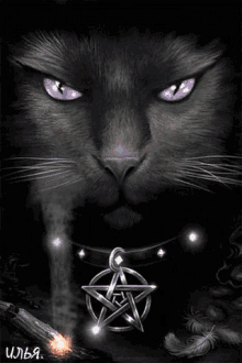Wiccan Cat GIF - Wiccan Cat GIFs
