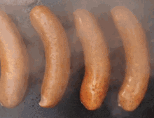 Polish Sausage GIF - Hotdog GIFs