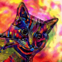 Trippy Cat GIF - Trippy Cat Psychadelic GIFs