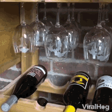 Wine Glass Getting Wine Glass GIF - Wine Glass Getting Wine Glass Ready To Drink GIFs